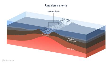 Les Plaques Lithosph Riques Fiche De R Vision De Ere En Svt