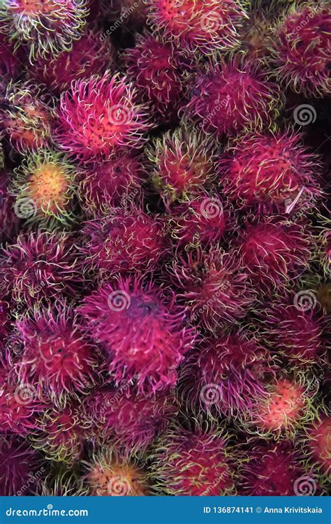 Frutos De Rambutan Nephelium Lappaceum Imagen De Archivo Imagen De