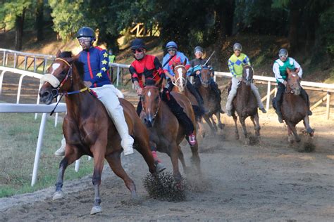 Palio Di Fucecchio Ecco I Cavalli Della Tratta Gazzetta Di Siena