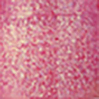 Stellary Блеск для губ Sexy gloss 17 4 мл — купить, цена в Москве