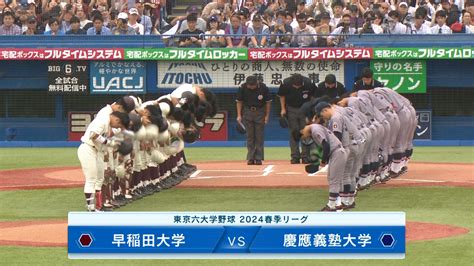 【動画】【東京六大学野球 春季リーグ戦】2024年6月2日日早大vs慶大2回戦ハイライト スポーツナビ「東京六大学野球ハイライト」