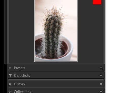 How To Organize Photos For Lightroom Classic Creative Photographer