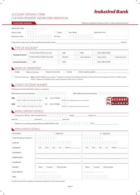 Pdf Account Opening Form For Non Resident Indian Pdfslide Net