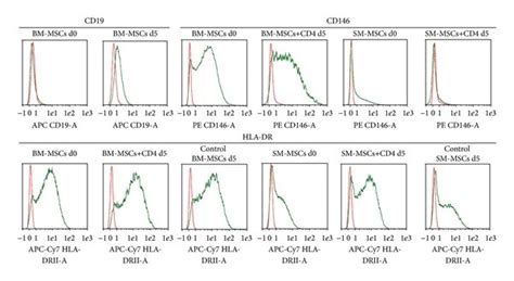 Surface Marker Expression On Sm Mscs And Bm Mscs A Representative Download Scientific