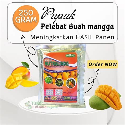 Jual Pupuk Mangga Booster Pelebat Mangga Arumanis Agar Cepat Besar