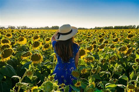 This Breathtaking Sunflower Field In Arizona Opens This Weekend