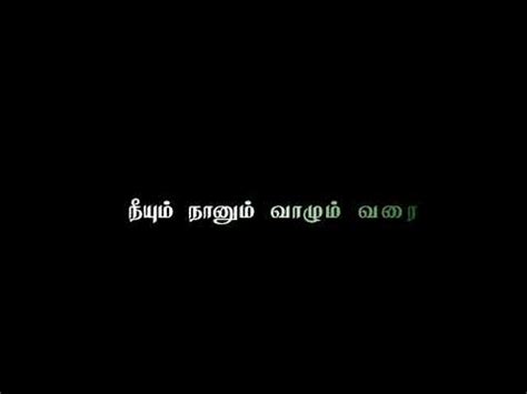 Yaarum Illa Ponnerame Song Black Screen Whatsapp Status Lyrics