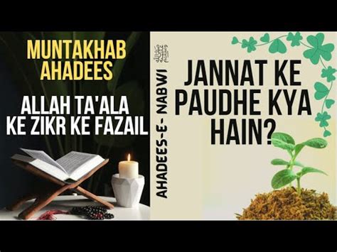 Muntakhab Ahadees Small Vids Jannat Ke Paudhe Kya Hain Ahadees E