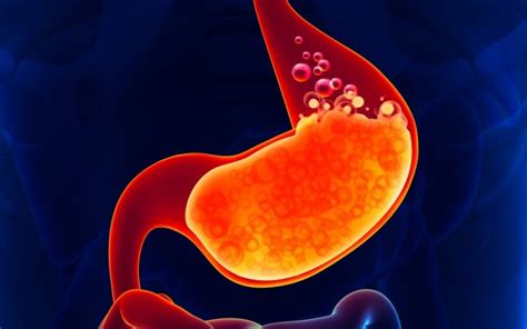 What Is the Hydrochloric Acid Function in the Stomach? | Med-Health.net