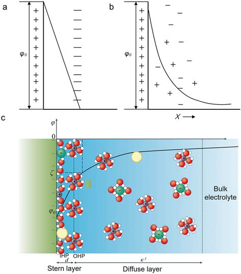 Unveiling The Effects Of Ions In The Electric Double Layer On The