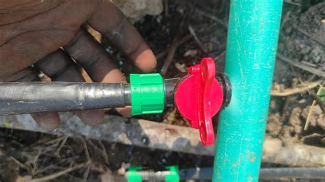 How To Install Drip Tape Irrigation System YouTube