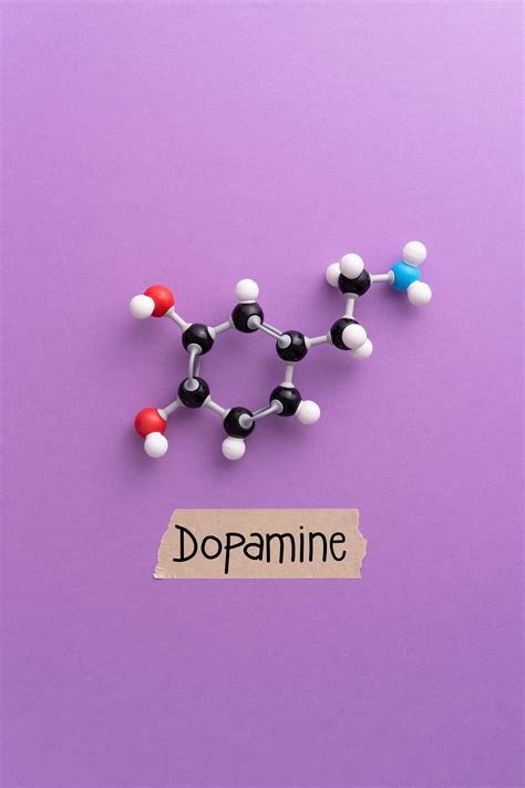 How Dopamine Triggers Sleep State Transitions Sleep Review