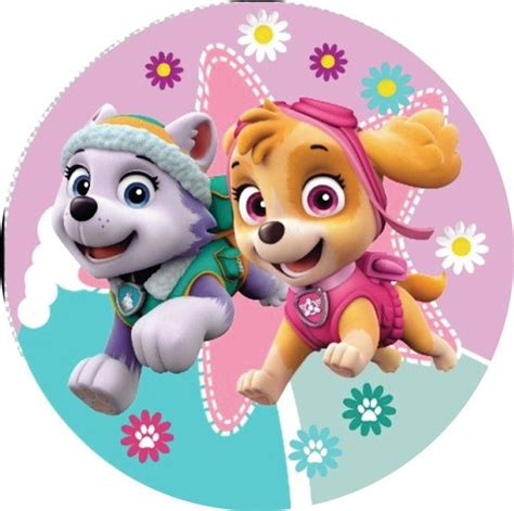 PAINEL TECIDO SUBLIMADO In 2024 Paw Patrol Birthday Paw Patrol Skye