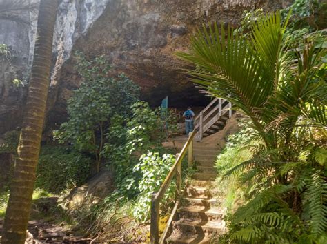 Punakaiki Cavern: Everything to Know Before Visiting