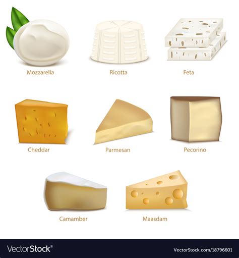 Realistic detailed 3d cheese different types set Vector Image