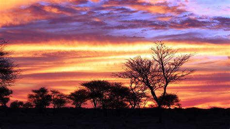 Okonjima En Waterberg Plateau Park Africat Stichting Namibie