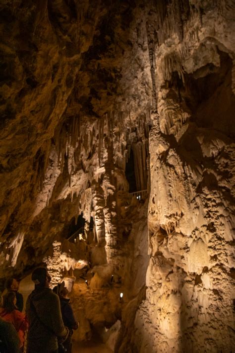 Mitchell Caverns – MilaDidIt