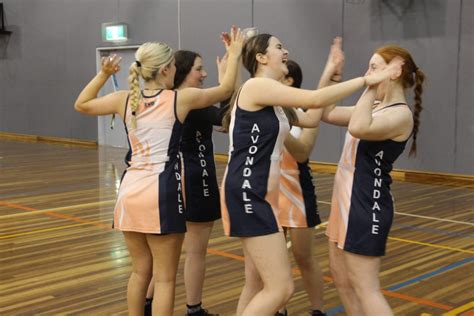 Gallery Avondale Heights Netball Club