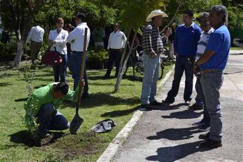 Dan Arranque A Campa A De Reforestaci N El Siglo De Torre N