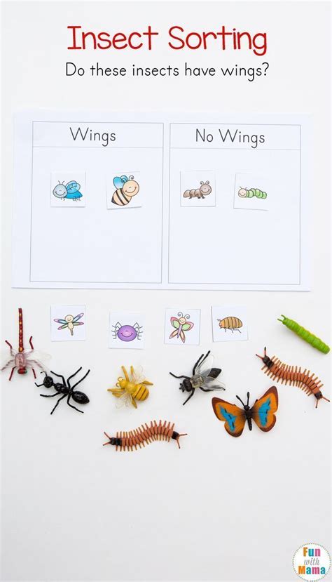 Preschool Insect Theme Sorting Worksheet Bug Activities Bug Activities Insect Activities