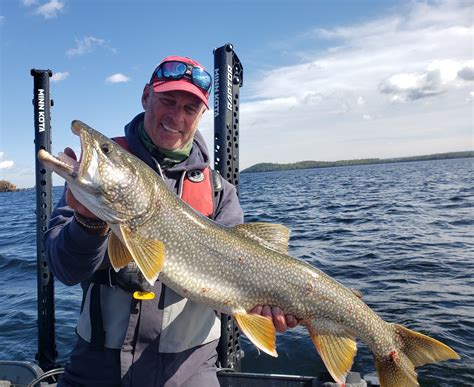 Top Five Lure Presentations For Lake Trout Superior Country