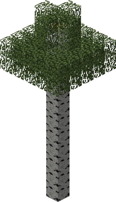 File Tall Birch Tree Png Official Minecraft Wiki