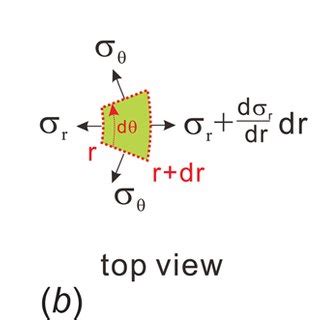 Nucleus Alignment And Polarization On The Ringlike Patterned Substrate