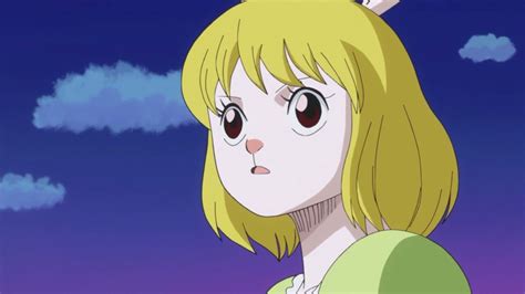 Carrot Mink One Piece Episode 790one Piece Folge 790 One Piece Episodes Anime Anime Art