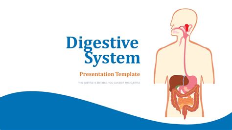 Free Digestive System Powerpoint Template Printable Templates