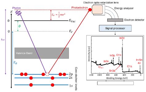 Schematic Diagram For X Ray Photoelectron Spectroscopy Xps An Download Scientific Diagram