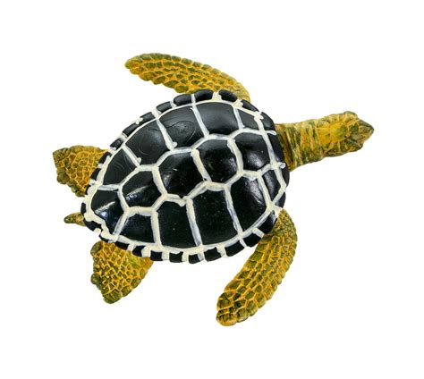 Safari Ltd Life Cycle Of A Green Sea Turtle Buy Online In United Arab