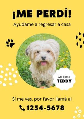 P Gina Explor Plantilla De Mascotas Personalizables Gratis Canva