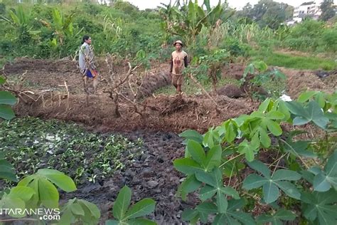 Warga Keluhkan Imtn Diduga Palsu Antara News Kalimantan Timur