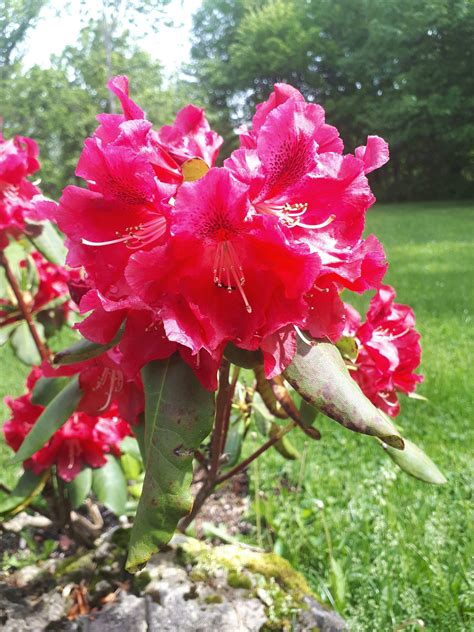 How to use a simple story based technique to instantly and easily