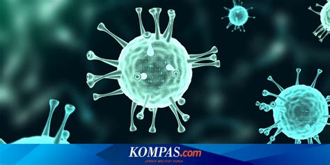 kasus covid  kembali naik  rekomendasi kemenkes