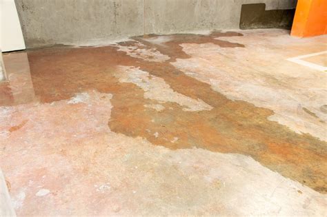 Mold and Mildew Prevention in Basements | Academy Masonry