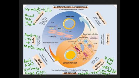 Book Review Cracking Cancer Toolkit By Jeffrey Dach Md Youtube