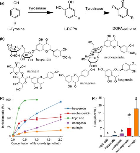 Citrus Flavonoids Inhibited Tyrosinase Activity A Mechanism Through