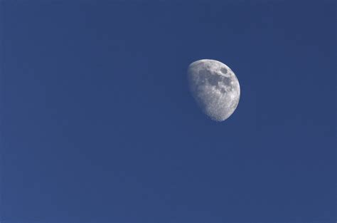 Moon on the blue sky | Copyright-free photo (by M. Vorel) | LibreShot