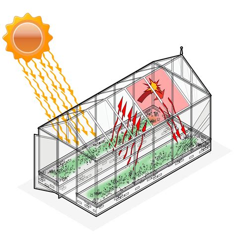 A Beginner S Guide To Using A Hobby Greenhouse Homestead And Chill