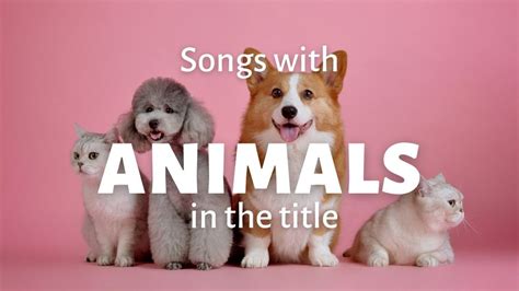 20 Songs with Animals in the Title | Repeat Replay