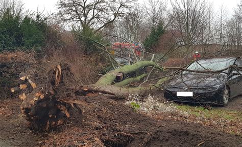 Sturm Umgest Rzter Baum Kracht Auf Geparkte Autos Deister Echo