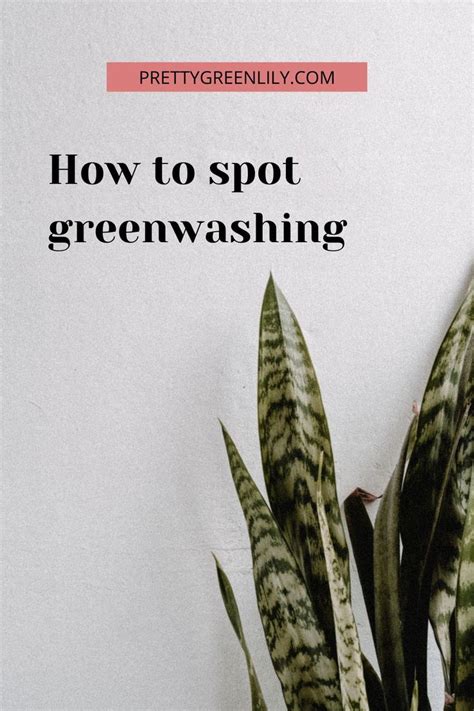 How To Identify Greenwashing In Fashion Brands