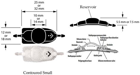 Animals Free Full Text Evaluation Of Overshunting Between Low And