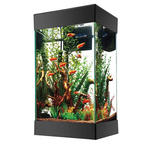 gallon fish tank aquarium reviews  setup ideas