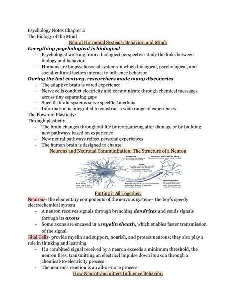 Psych Notes Ch 2 Psychology Notes Chapter 2 The Biology Of The Mind