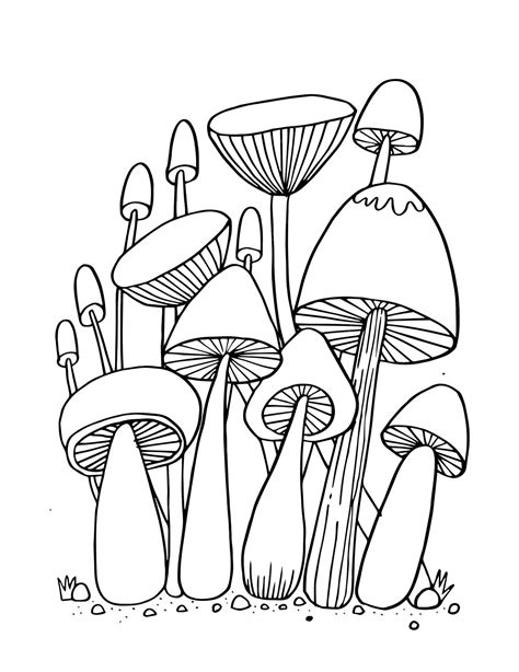 Premium Vector Mushroom For Coloring Book Isolated Illustration