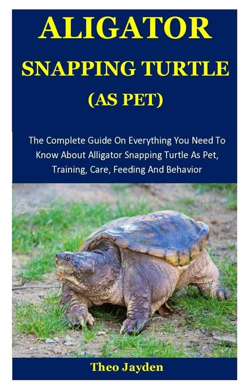 Buy Aligator Snapping Turtle As Pet The Complete Guide On Everything