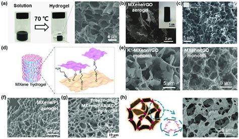 Digital Photographs And Sem Images Of Mxene Rgo A Hydrogel And B C