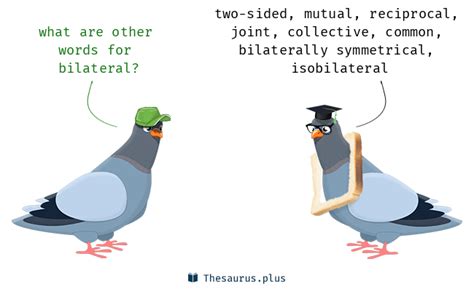 bilateral synonyms  bilateral antonyms similar   words